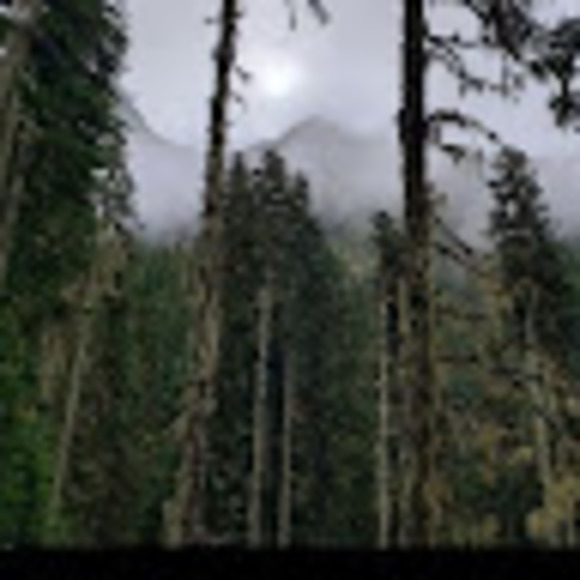 Meet your Posher, Gordon - Picture 1 of 1